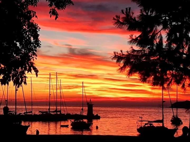 Reinic * Novigrad Istria